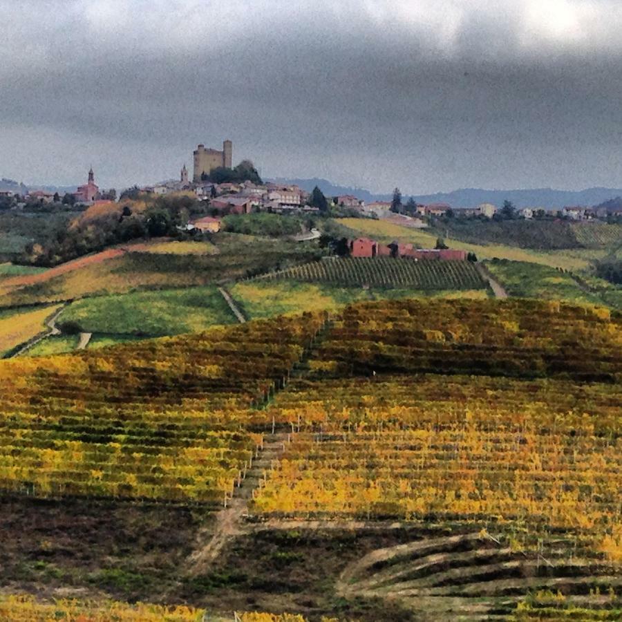 Cascina Maina Villa Diano d'Alba Luaran gambar