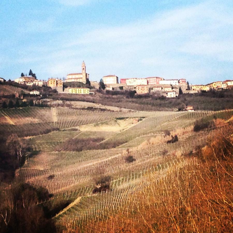 Cascina Maina Villa Diano d'Alba Luaran gambar