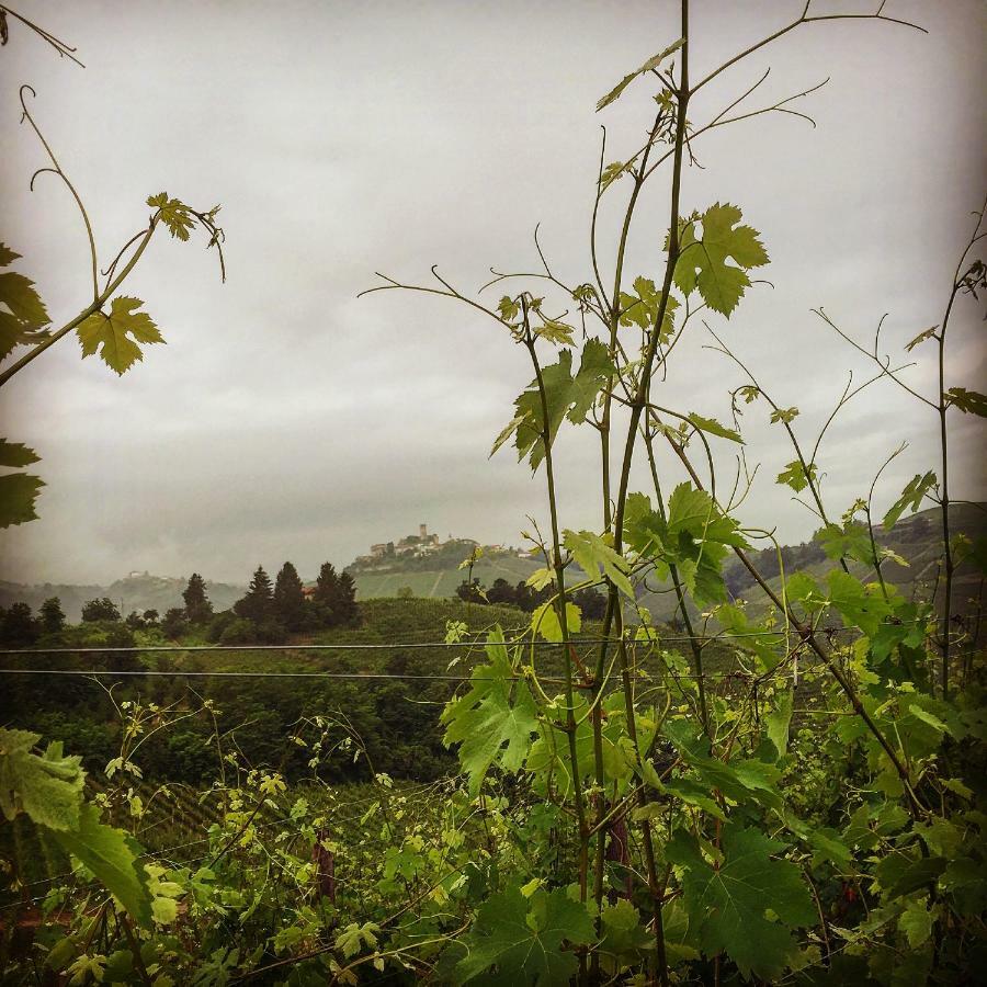 Cascina Maina Villa Diano d'Alba Luaran gambar